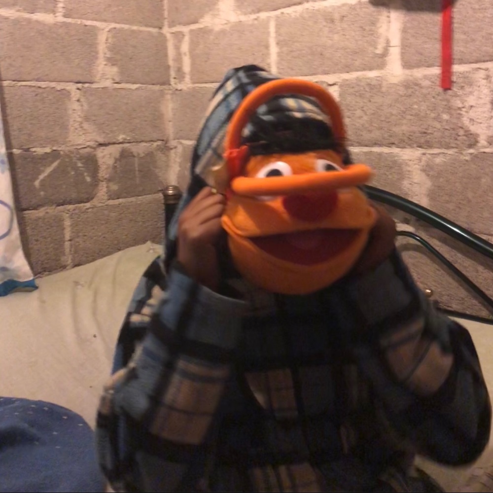 Meet your Posher, Moises